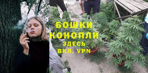 ALPHA PVP Белокуриха
